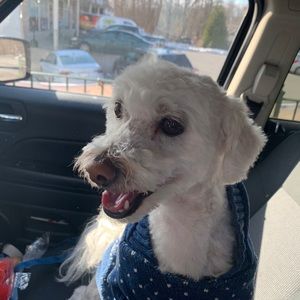 Meet your Posher, Christine